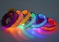 hot led dog collar led pet collar flashing collar power CR2032 11