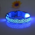 hot led dog collar led pet collar flashing collar power CR2032 13