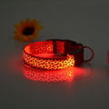 hot led dog collar led pet collar flashing collar power CR2032 16