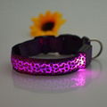 hot led dog collar led pet collar flashing collar power CR2032 20