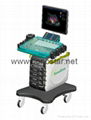 C200 Trolley Color Doppler Ultrasound System