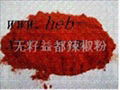 red chilli powder 4