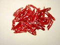 red chaotian chilli 2