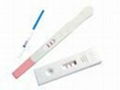 Pregnancy Test Kit 4