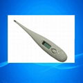 Clinical Thermometer 1