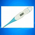 Clinical Thermometer 3