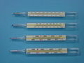 Clinical Thermometer 5