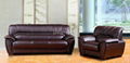 leather sofa