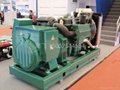柴油发电机组-沃尔沃系列300KW TAD1241GE 2
