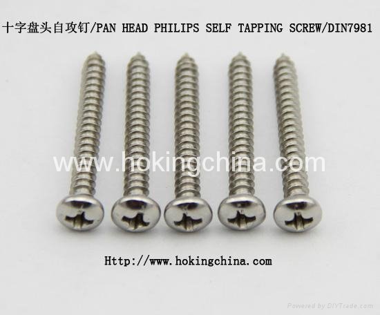Stainless Steel Self Tapping Screw(DIN7981)
