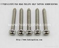 Stainless Steel Self Tapping