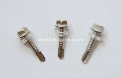 Stainless Steel Self Drilling Screw(DIN7504P)