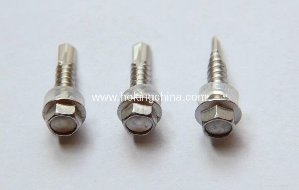 Stainless Steel Self Drilling Screw(DIN7504P) 2