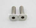 Flat socket cap cap screw(DIN7991)