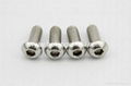 Button head socket cap screw(ISO7380)