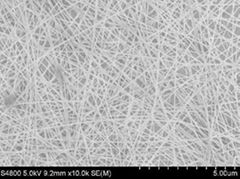 Silver nanowire