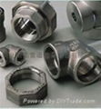 SS forged fittings