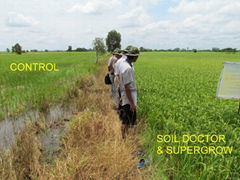 Soil Doctor