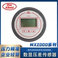 MX2000數顯差壓表變送器