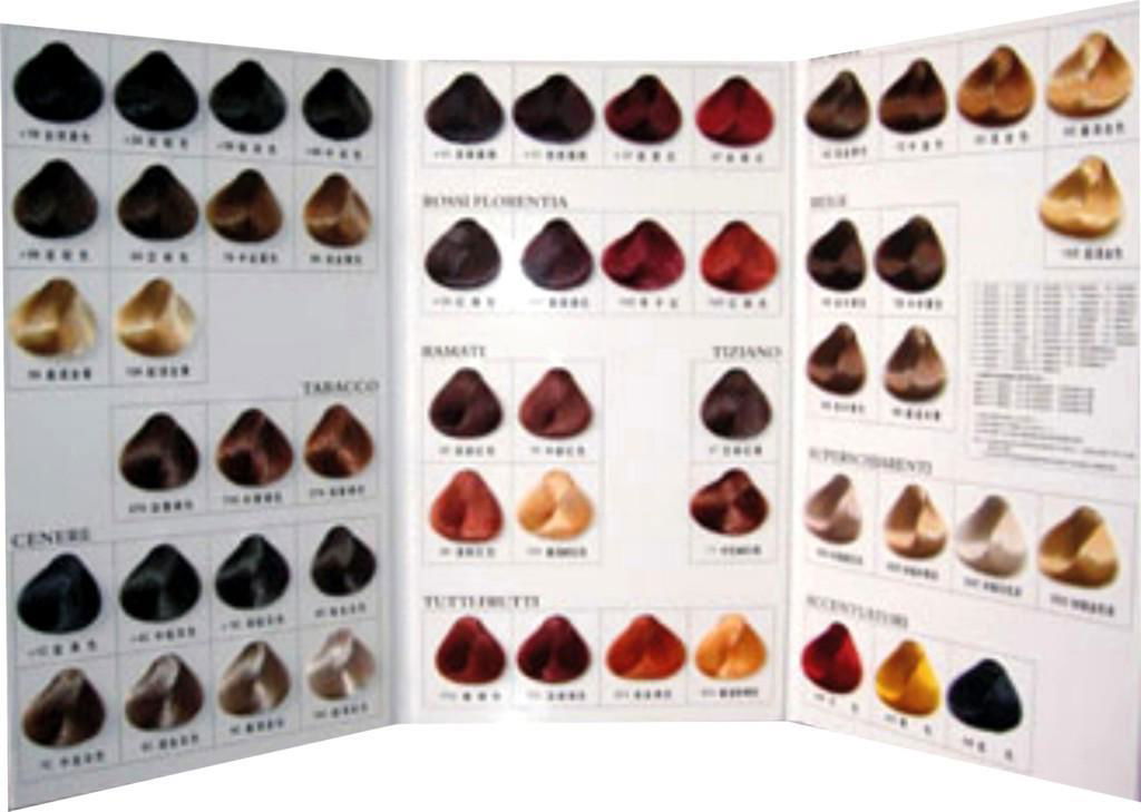 Salon hair color palette color card 1.