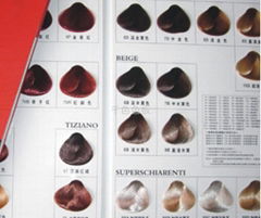 Hair color swatch card