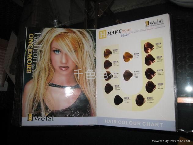 Hair Dye Color Chart, Hair Swatch 4