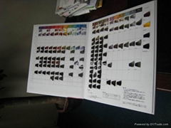 Hair Dye Color Chart, Hair Swatch