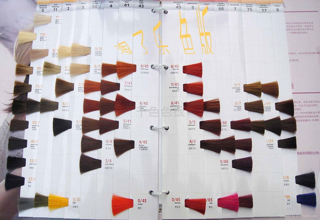 Professional Hair Dye Color Chart