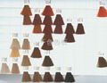 Hair Dye Color Chart, Hair Swatch 4