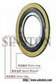 Spiral wound Gasket