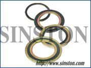 Spiral wound Gasket 3