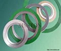 Spiral wound Gasket