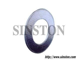 Reinforced Graphite Gasket 2