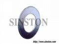 Reinforced Graphite Gasket