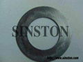 Reinforced  Tanged SUS 304  graphite gasket 