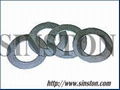 double Tagned SS304 reinforced graphite gasket