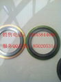 SS304 inner ring spiral wound gasket