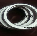 SS316 inner ring spiral wound gasket