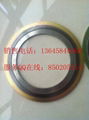 DN100 PN16 spiral wound gasket with outer ring