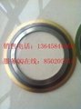 spiral wound gasket with inner ring 3