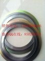spiral wound gasket with inner ring 4