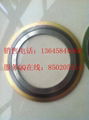 spiral wound gasket with inner and outer ring