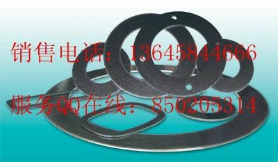 SUS304 tanged reinforced graphite gasket