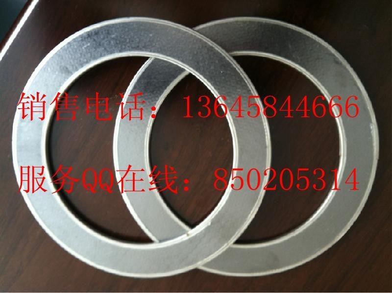 graphite composed gasket without eyelet 4