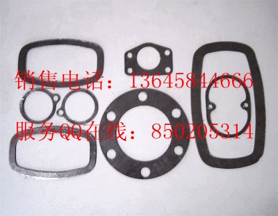 Double tanged SS304 reinforced graphite gasket 4