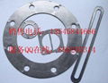 stainless steel reinforced graphite gasket with outer eyelet