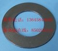 stainless steel reinforced graphite gasket with outer eyelet