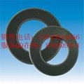 Graphite gasket with inner eyelet