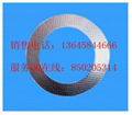 Graphite gasket with inner eyelet