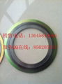 Graphite filler spiral wound gasket 2